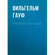 Постер книги Приключения Саида