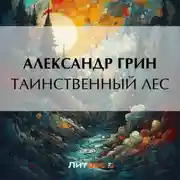 Постер книги Таинственный лес