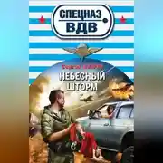 Постер книги Небесный шторм