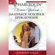 Постер книги Маленькое любовное приключение