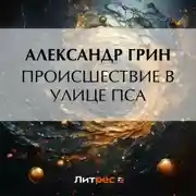 Постер книги Происшествие в улице Пса