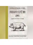 Михаил Серегин - Самая срочная служба