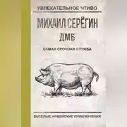 Постер книги Самая срочная служба