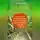 Галина Кизима - Щедрые теплицы. Руководство по выращиванию в закрытом грунте на приусадебном участке