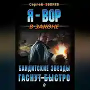 Постер книги Бандитские звезды гаснут быстро