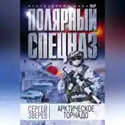 Постер книги Арктическое торнадо