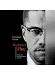 Евгений Рогов - Малкольм Икс. Взгляд из русского гетто