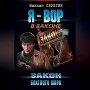 Постер книги Закон блатного мира