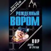 Постер книги Вор платит по счетам
