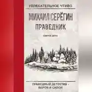 Постер книги Святое дело