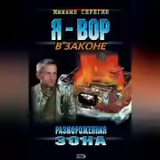 Постер книги Размороженная зона