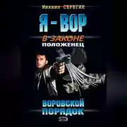 Постер книги Воровской порядок