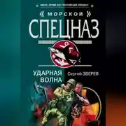 Постер книги Ударная волна