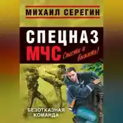 Постер книги Безотказная команда