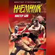 Постер книги Мастер боя