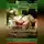 Анна Зорина - Шампиньоны. Сажаем, выращиваем, заготавливаем. Уникальные лечебные свойства и кулинарные рецепты