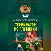 Постер книги Терминатор из глубинки