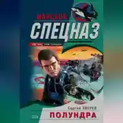 Постер книги Полундра