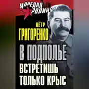 Постер книги В подполье встретишь только крыс