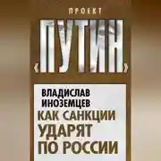 Постер книги Как санкции ударят по России