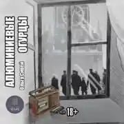 Постер книги Алюминиевые огурцы