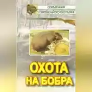 Постер книги Охота на бобра