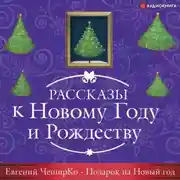 Постер книги Подарок на Новый Год