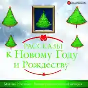 Постер книги Вполне рождественская история