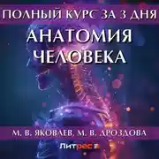 Постер книги Полный курс за 3 дня. Анатомия человека