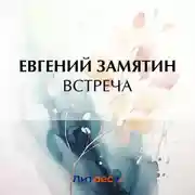 Постер книги Встреча