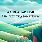Постер книги Три похождения Эхмы