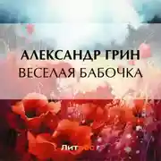 Постер книги Веселая бабочка