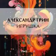 Постер книги Игрушка