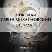 Постер книги Волмай