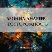 Постер книги Неосторожность