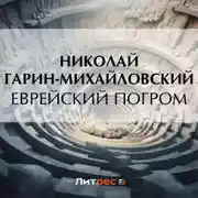 Постер книги Еврейский погром