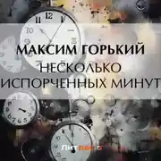 Постер книги Несколько испорченных минут