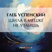 Постер книги Шила в мешке не утаишь