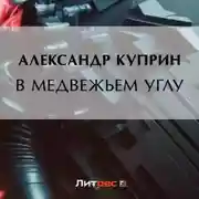 Постер книги В медвежьем углу