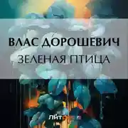 Постер книги Зеленая птица