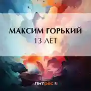 Постер книги 13 лет