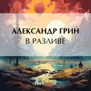 Постер книги В разливе