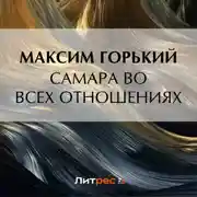 Постер книги Самара во всех отношениях