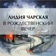Постер книги В рождественский вечер