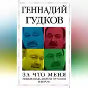 Постер книги За что меня невзлюбила «партия жуликов и воров»