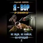 Постер книги Не жди, не кайся, не прощай