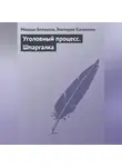 Михаил Белоусов - Уголовный процесс. Шпаргалка