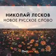 Постер книги Новое русское слово