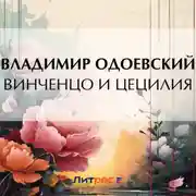 Постер книги Винченцо и Цецилия