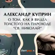 Постер книги О том, как я видел Толстого на пароходе «Св. Николай»
